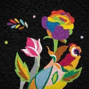 Meet your Posher, Q'eena